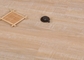 Correcte Bewijs Waterdichte Met elkaar verbindende Vinylplank die 10mm In reliëf gemaakte Vuurvast vloeren leverancier